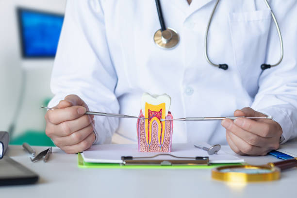 Urgent Tooth Repair in WV
